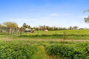 Photo 61- click for photo gallery